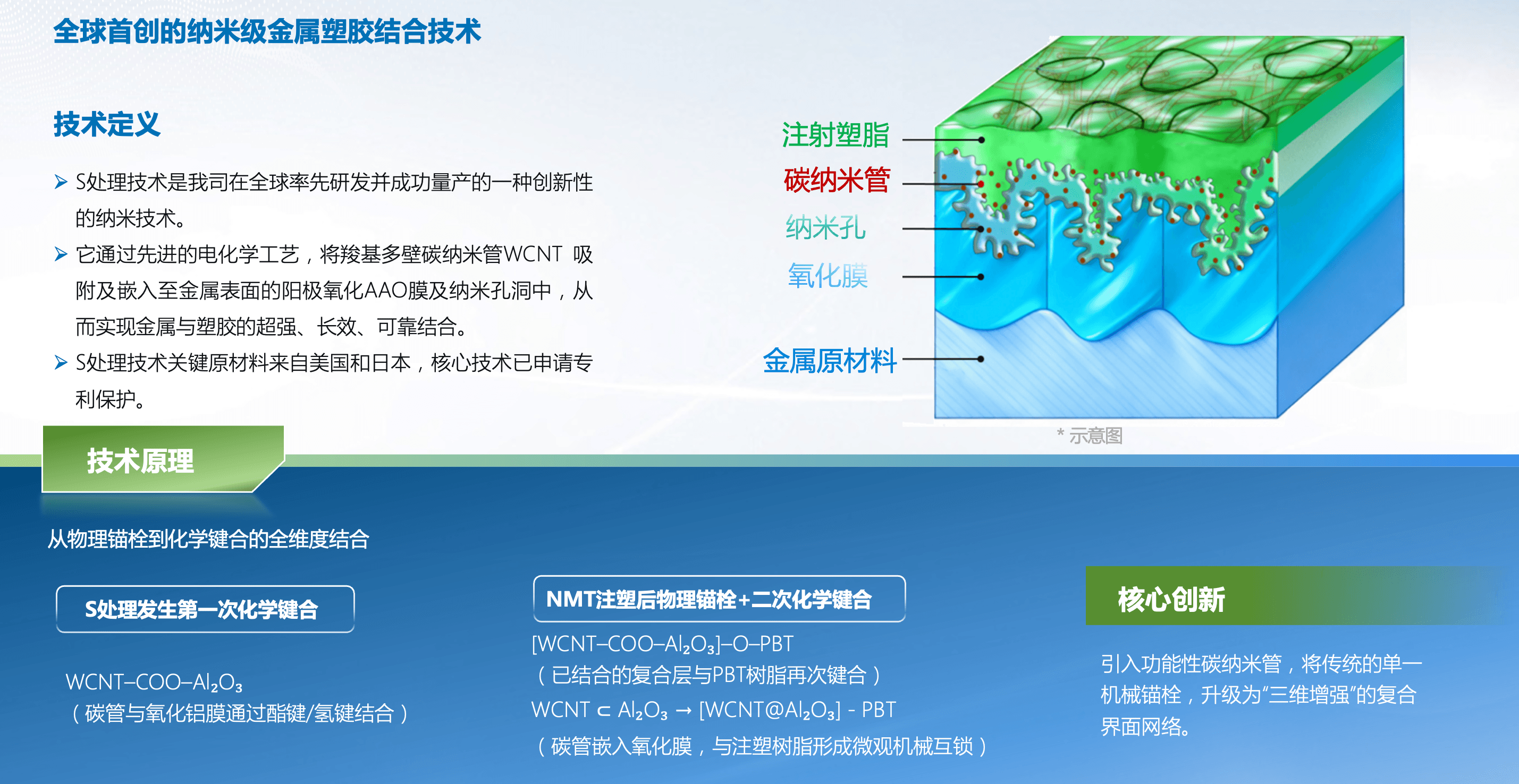 S处理技术微观原理完整示意图